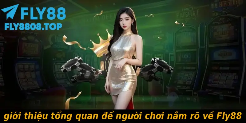 giới thiệu tổng quan để người chơi nắm rõ về Fly88
